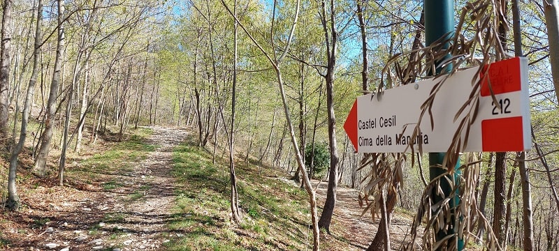 Sentiero CAI 212