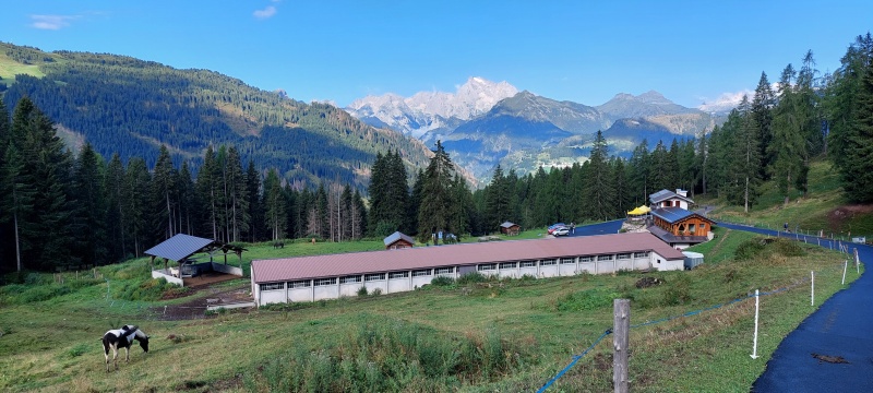 Malga Pien de Vacia