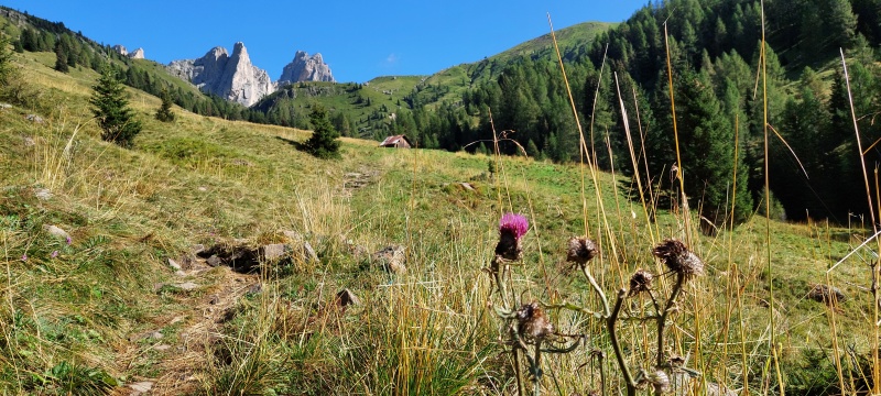 Sentiero CAI 466