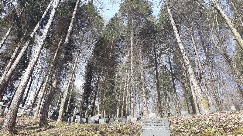 Bosco delle penne mozze