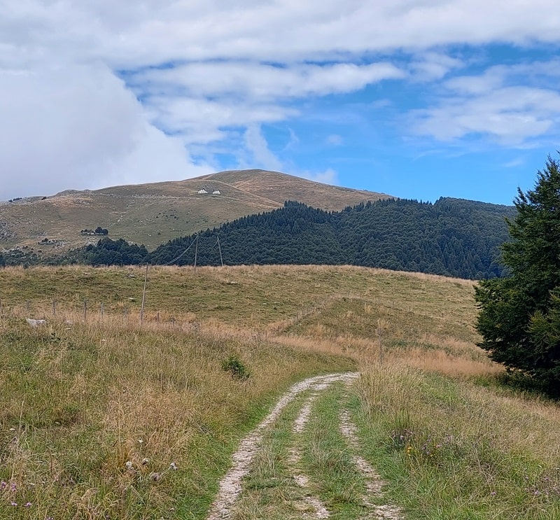 Anteprima Facile escursione tra Cadolten e malga Coro (Cansiglio)