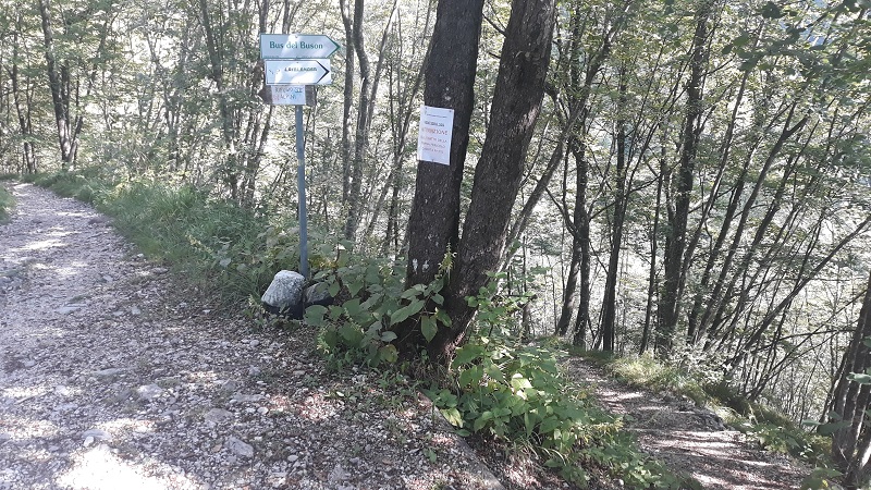 Indicazioni