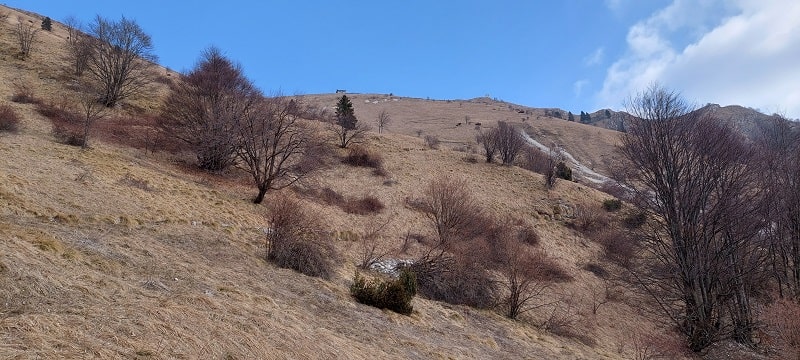 Cima della Mandria e malga Vedetta