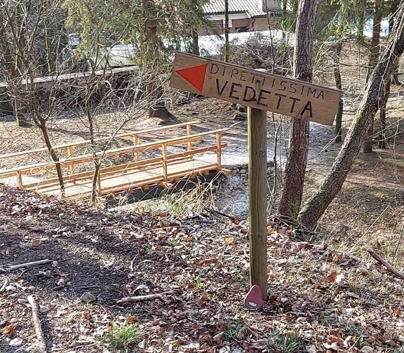 Inizio della direttissima verso malga Vedetta