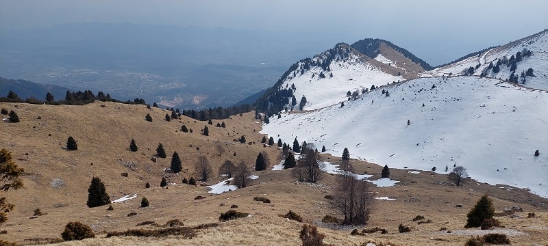 Vista verso malga Ardosetta