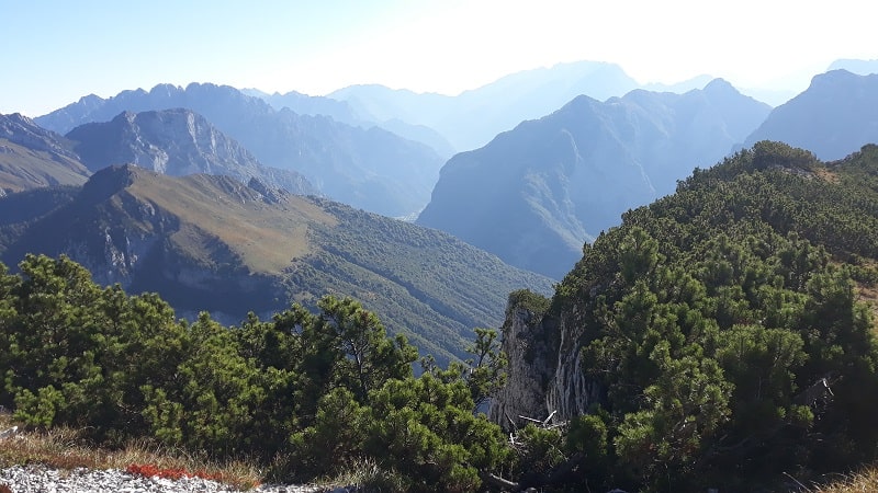 Panorama