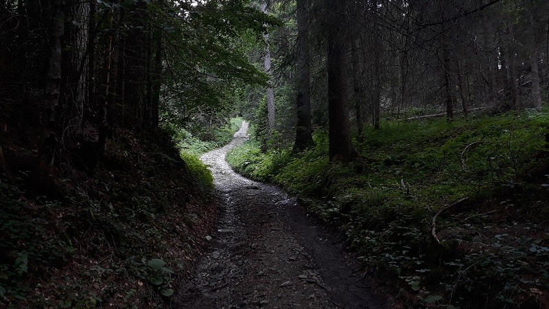 Sentiero