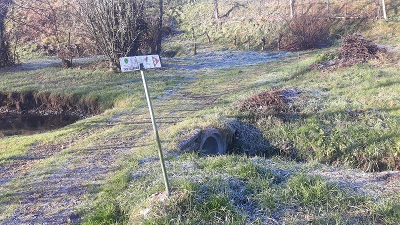 Indicazioni