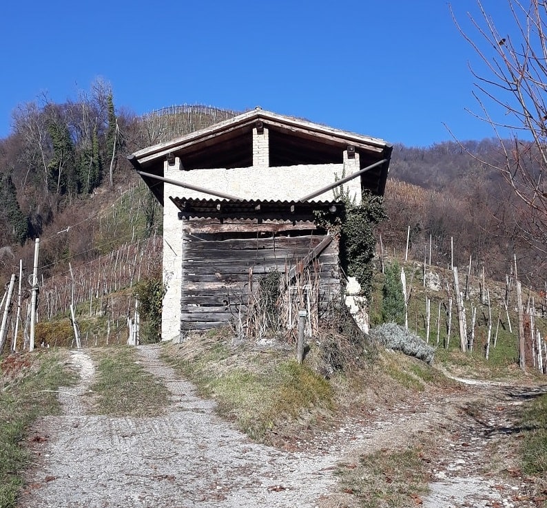 Vigneti