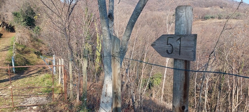 Sentiero 51