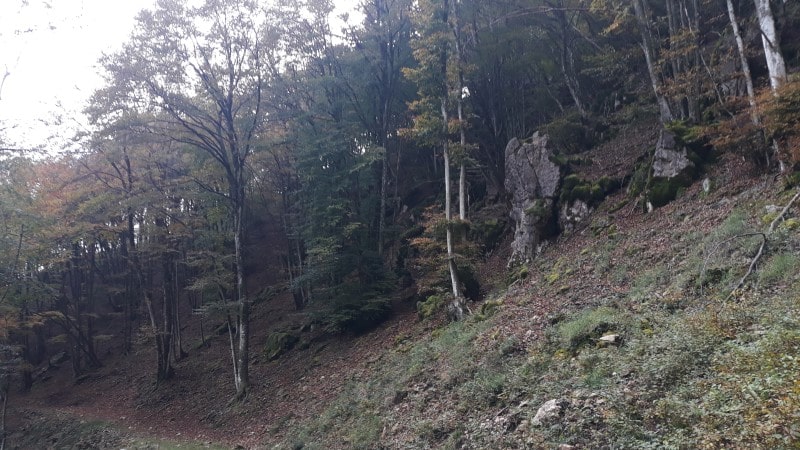 Fine strada da Posa Granda