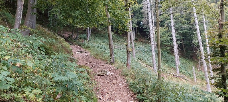 Sentiero Posa Puner