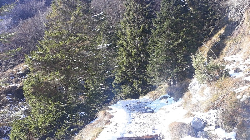 Sentiero CAI 151 verso la fine