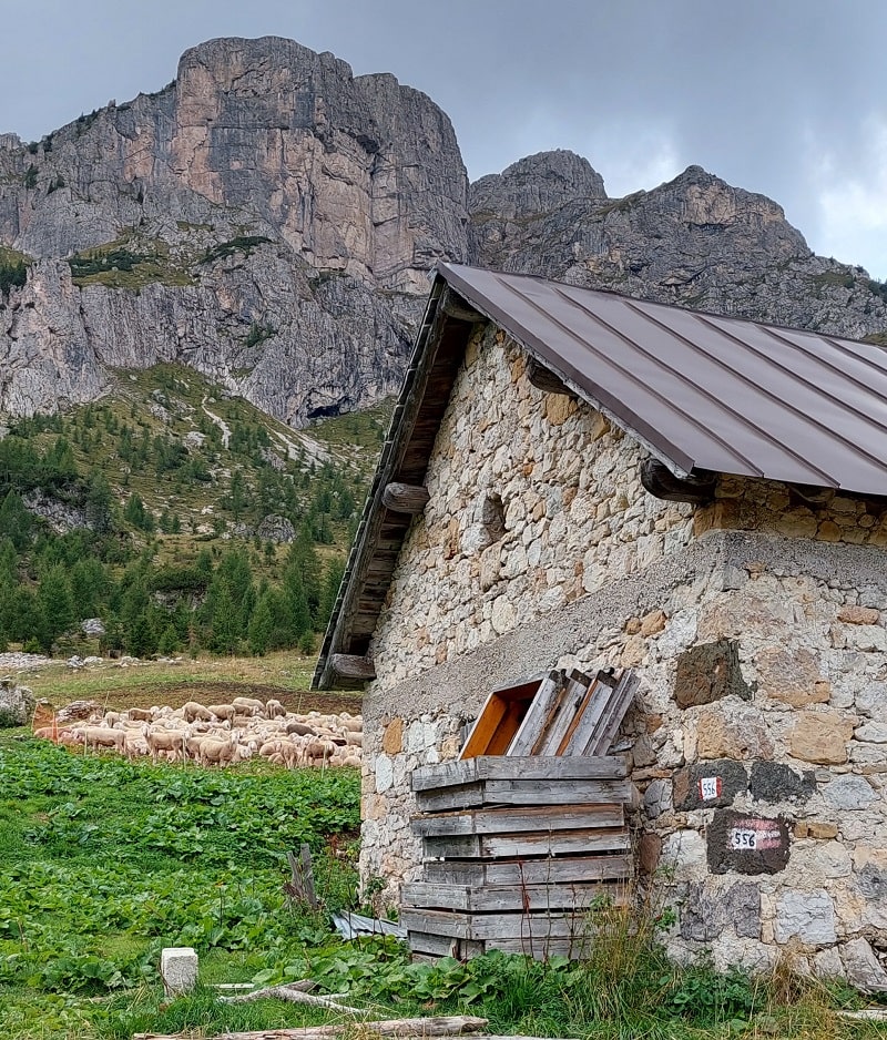 Malga Pioda