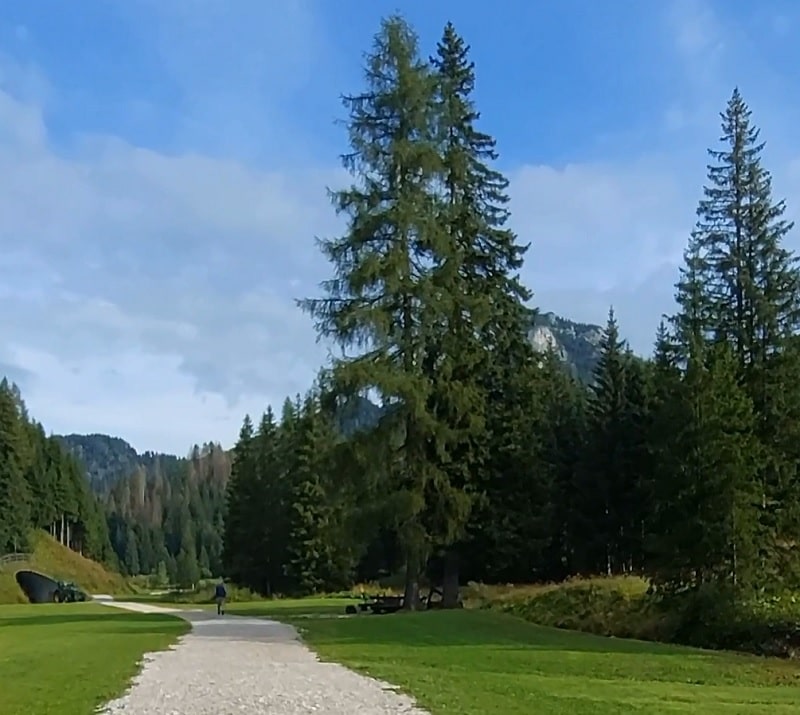 Strada dal rifugio