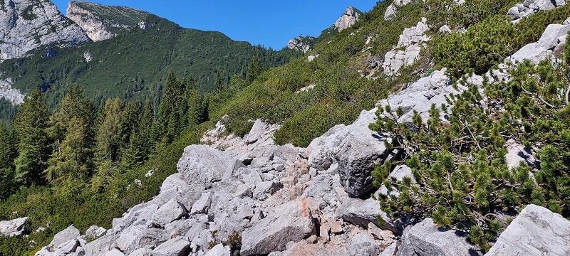Sentiero CAI 554