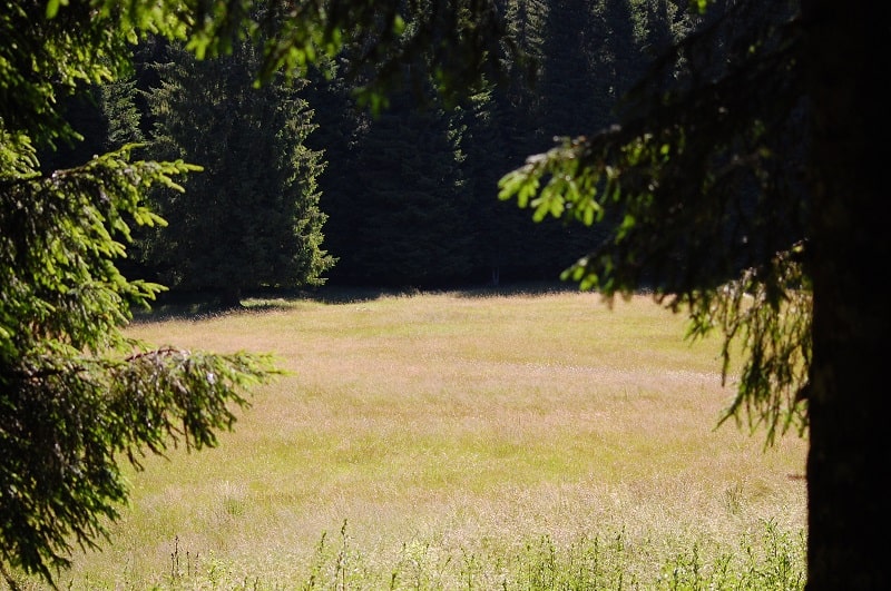 Campo di Sopra
