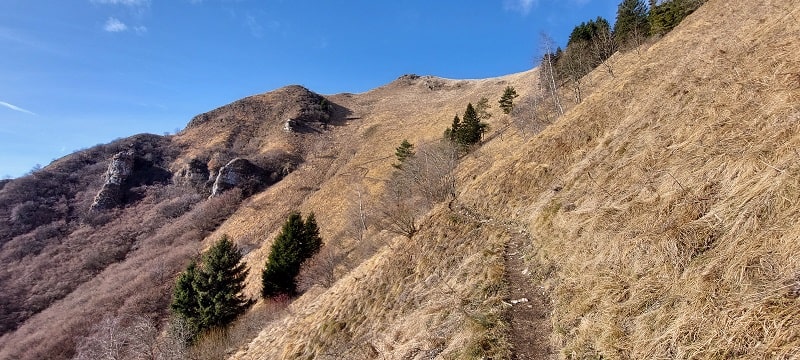 Sentiero dal bivacco dei Loff