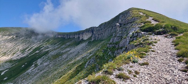 Col di Luna