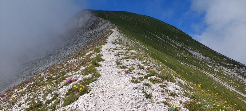 Monte Pavione