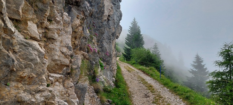 Strada sterrata
