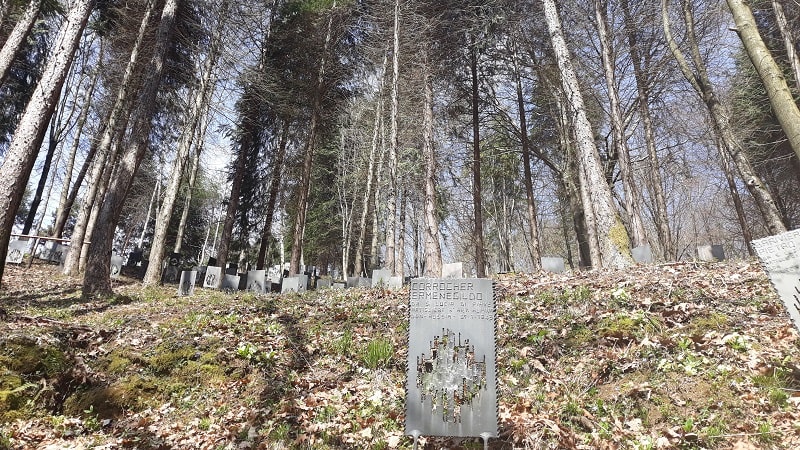 Bosco delle penne mozze