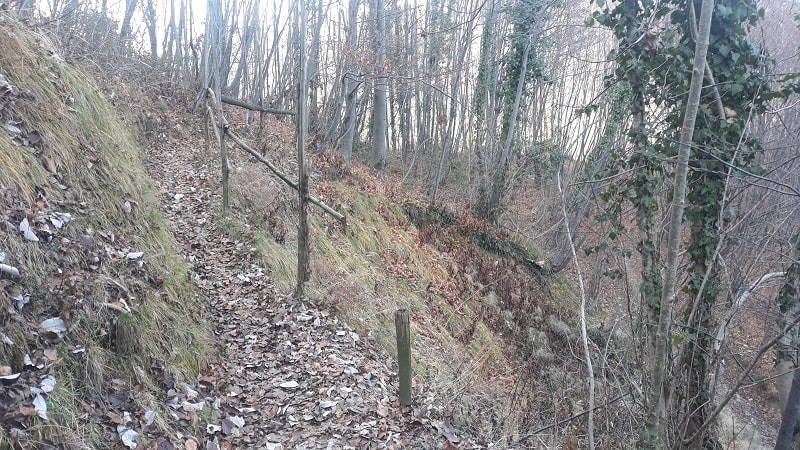 Sentiero nel bosco