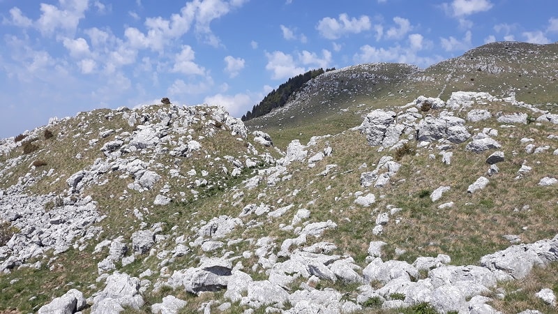 Anteprima Monte Pizzoc per Agnelezza e San Floriano