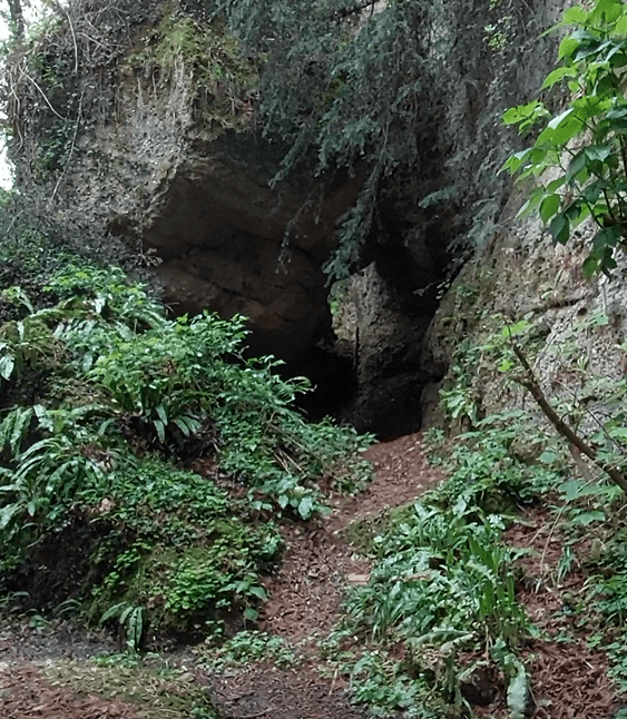 Canyon Collalto