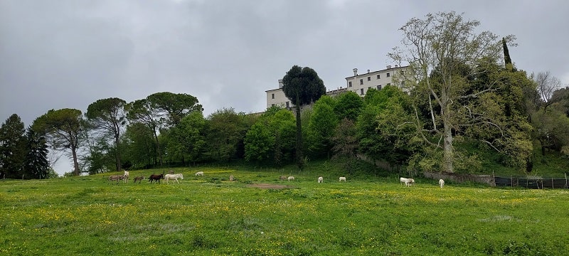 Castello di San Salvatore