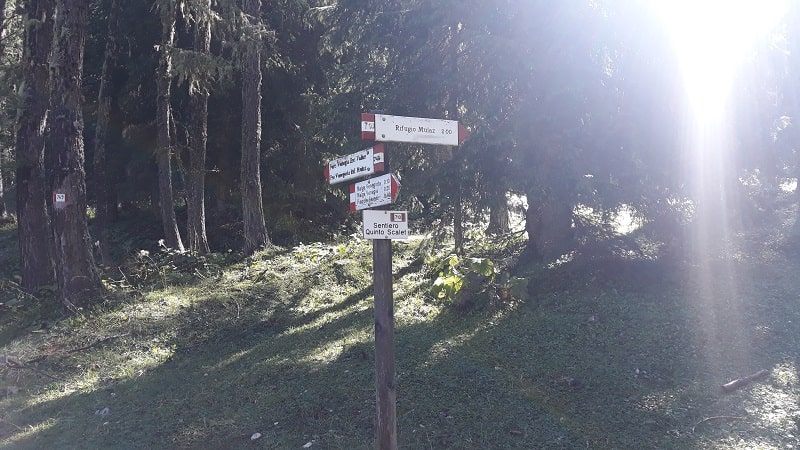 Indicazioni