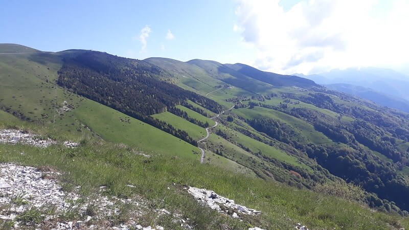 Il bosco a forma di ippopotamo