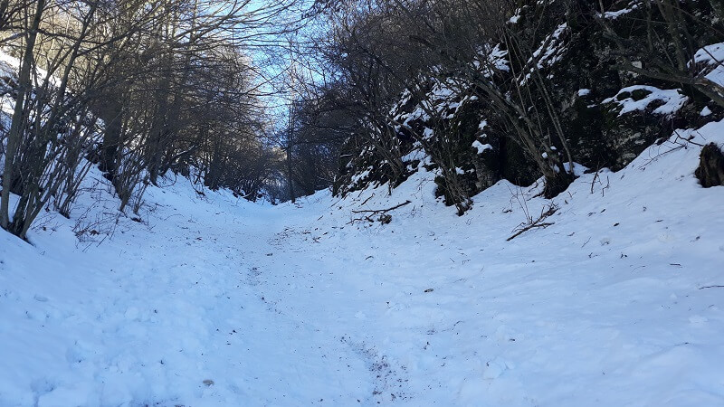 Sentiero dalle Pianezze