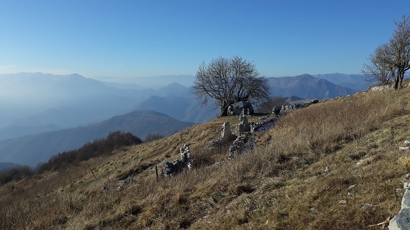 Anteprima Valdobbiadene - monte Cesen per sentieri 1007 e 1008