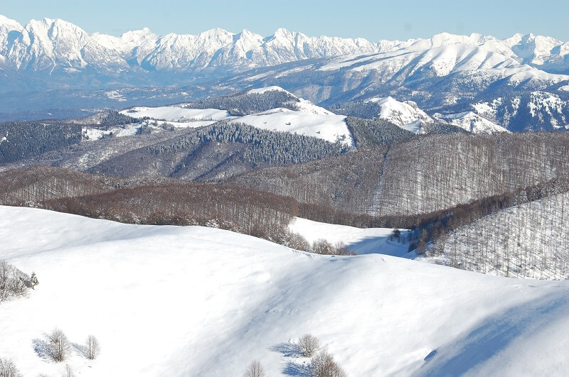 Alpago