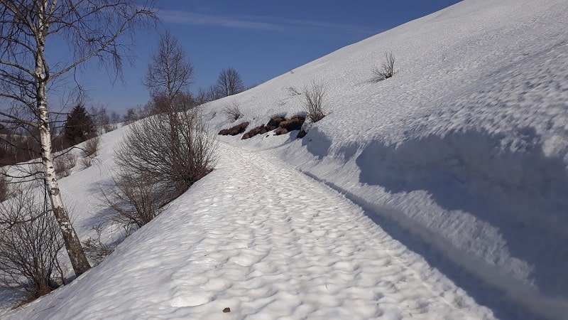 Verso malga Canidi